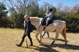 goslings-academy-education-therapy (3)